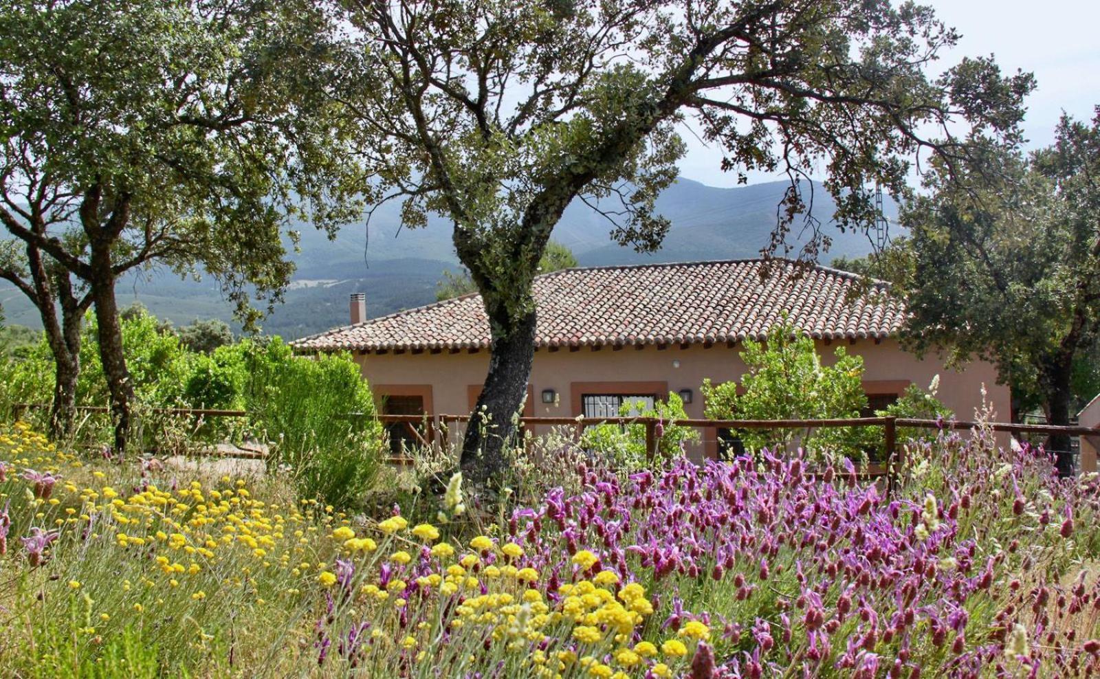 Casa Rural La Joyona Los Navalucillos Екстер'єр фото